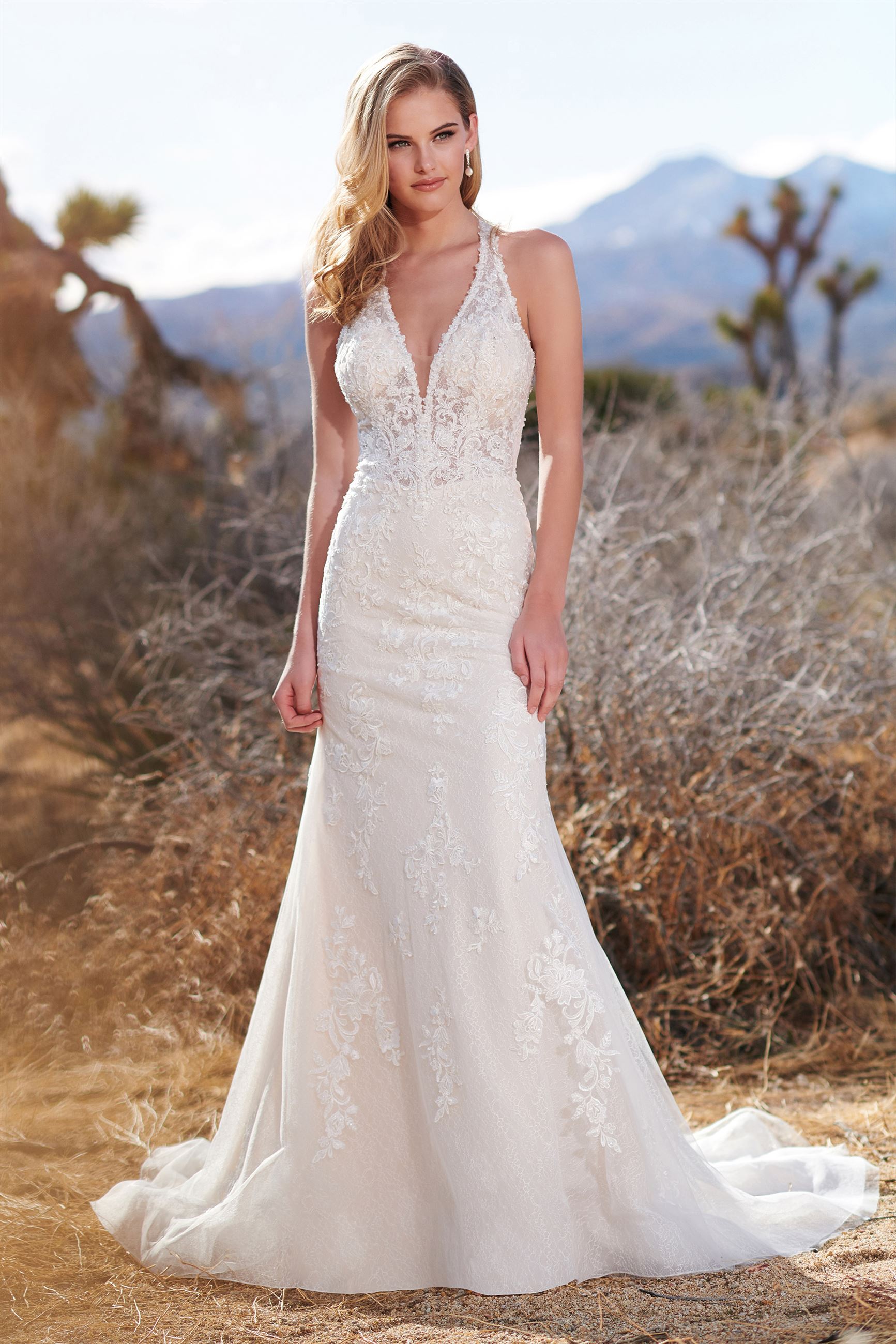  Champagne and Ivory Wedding Dress